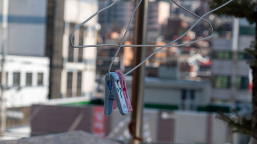 Close-up of clothespins hanging on boat in city