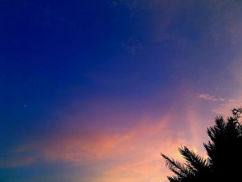 Low angle view of trees against sky