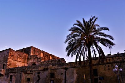 Low angle view of palm trees and building against sky