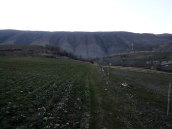 Scenic view of field against clear sky