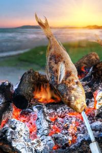 Fish to grilled on the beach in malaga spain