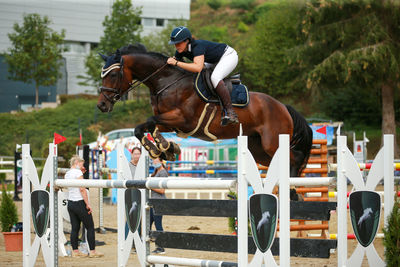 People riding horse