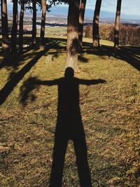 Shadow of tree on landscape