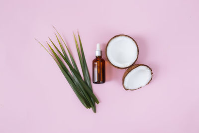 Cut halves of coconut and green palm leaf, bottle with essintial oil on a pastel pink background