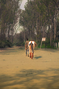 Rear view of couple walking in forest