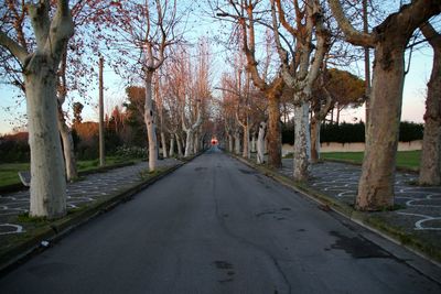 Road amidst bare trees against sky