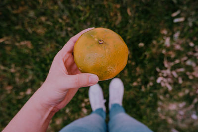 Low section of man holding apple