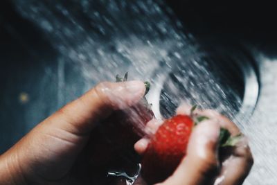 Cropped hands washing strawberries