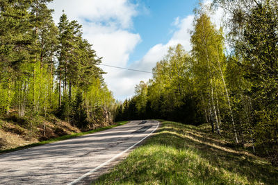 Road amidst trees in forest against sky