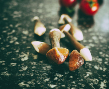 High angle view of mushrooms on table