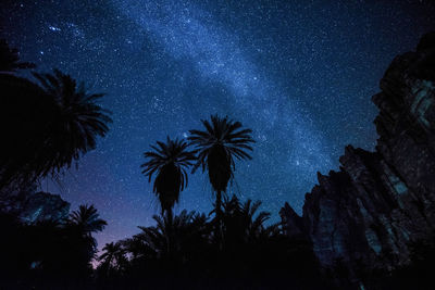 Low angle view of silhouette trees against sky at night