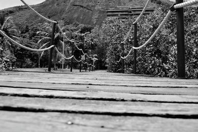 Close-up of tree against sky