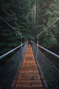 Footbridge in forest