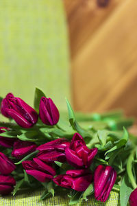 Close-up of pink flowers on plant