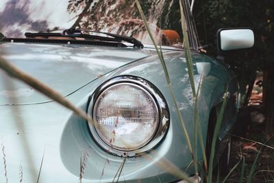 Reflection of car on side-view mirror