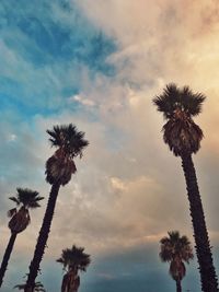 Low angle view of silhouette coconut palm tree against sky