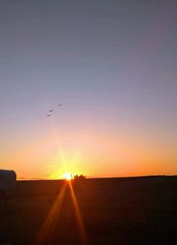 Silhouette bird flying over field against sky during sunset