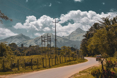 Road amidst plants and trees against sky