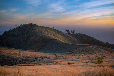 Scenic view of field against sky during sunset