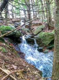 River flowing through rocks in forest