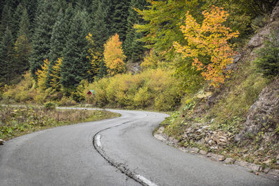 Road amidst trees during autumn