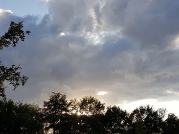 Low angle view of silhouette trees against sky