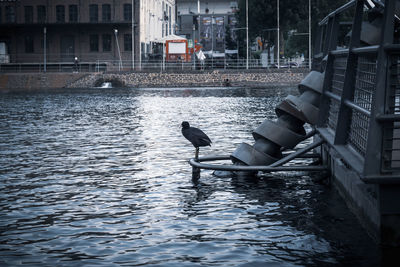 Man swimming in canal