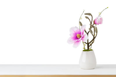 Close-up of pink flower vase against white background