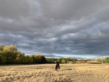 View of horse on field against cloudy sky