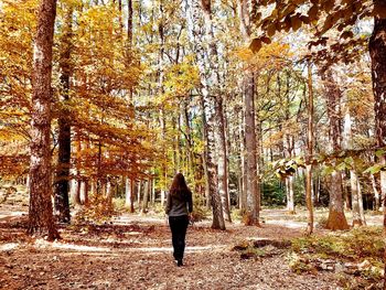 Rear view of woman walking in forest during autumn