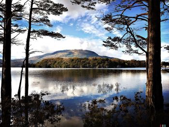 Reflection of trees in lake