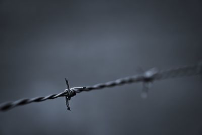 Close-up of barbed wire