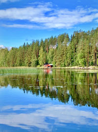 Scenic view of lake in forest against sky