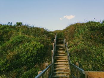 Stairway to paradise