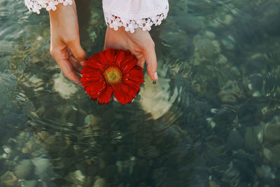 Midsection of woman holding flower