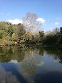 Reflection of trees in lake against sky