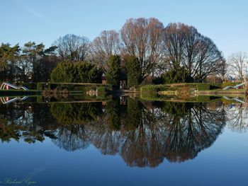 Reflection of trees in lake against sky