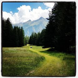 Scenic view of golf course against sky