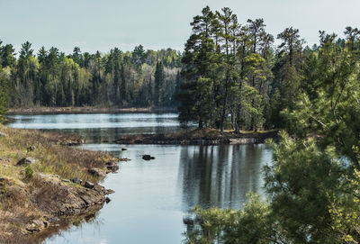Reflection of trees in lake