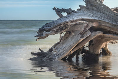 Driftwood on beach by sea against sky