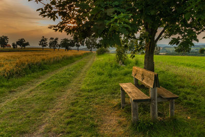 Empty bench on field against sky