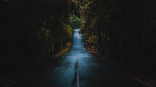 Road amidst trees in forest