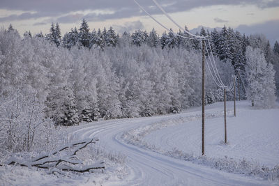 Country road on a snowy foggy winter morning