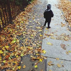 Shadow of person standing on dry leaves during autumn