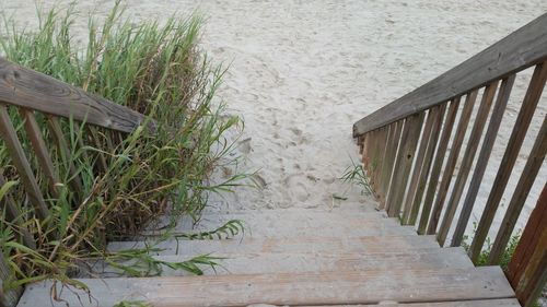 High angle view of grass on beach