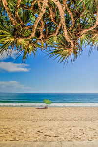 Palm trees on beach against sky