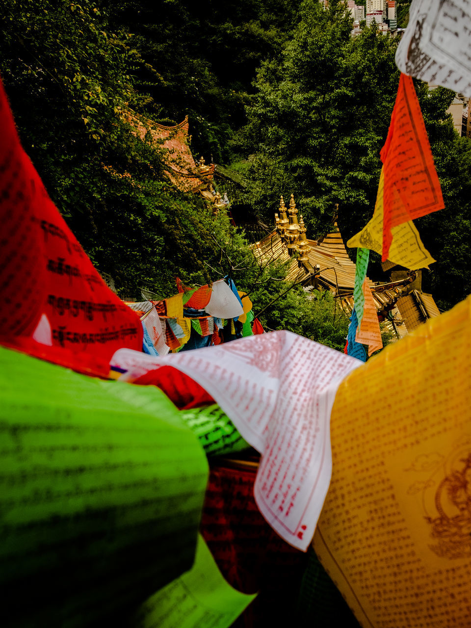 VARIOUS FLAGS HANGING ON TREE