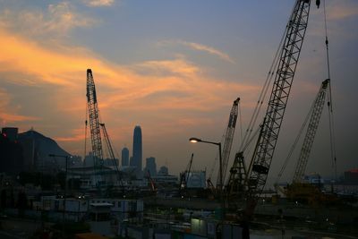 Cranes at sunset