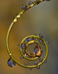 Close-up of light bulb