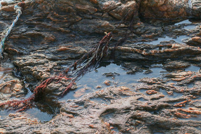 Full frame shot of rock in water